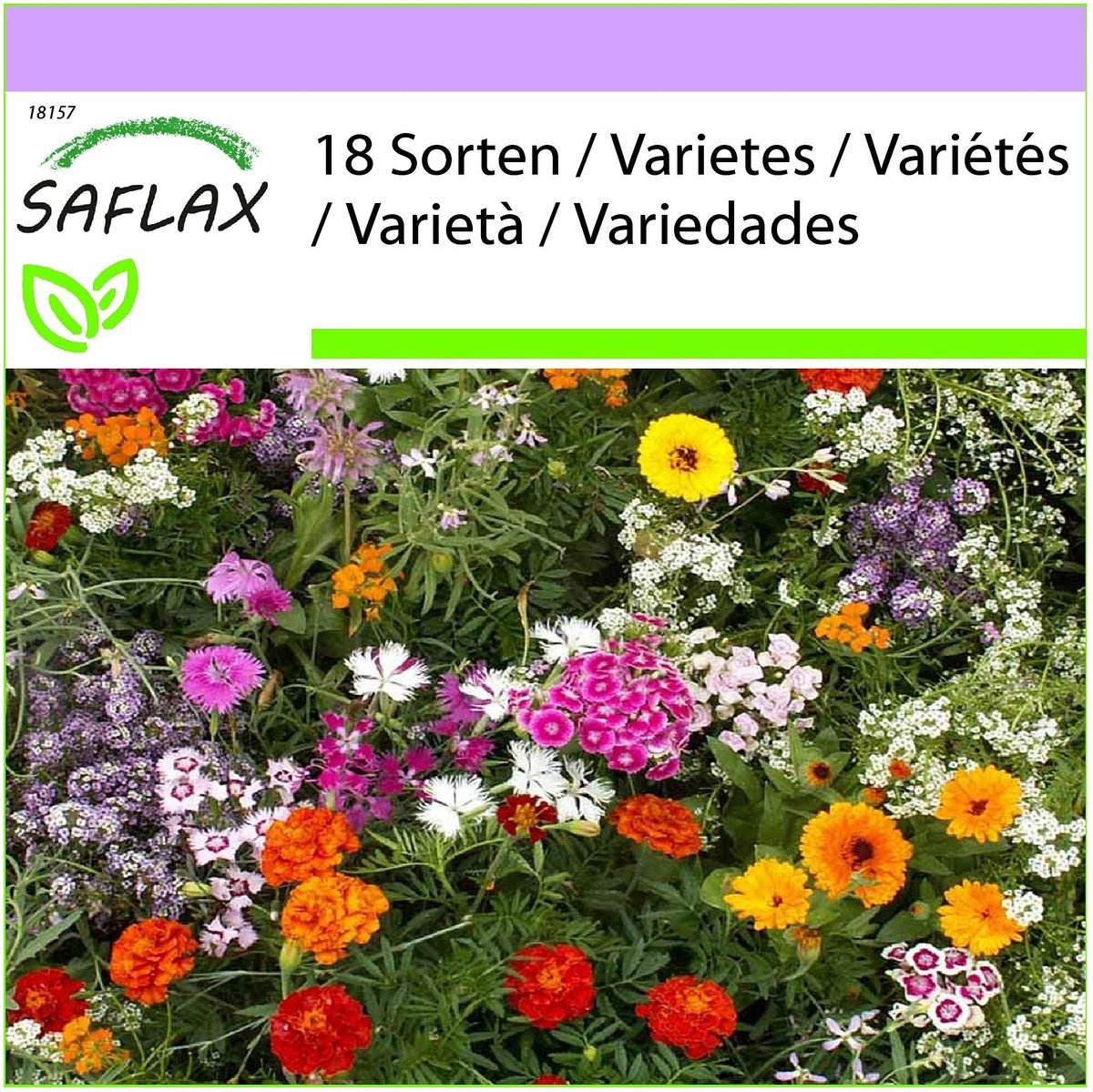 Elzusha - Wildflower Mix - 1000 Zaden - 18 Soorten