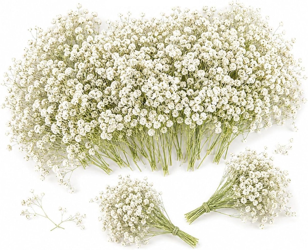 100 Stuks Gedroogde Gypsophila Bloemen voor Tafeldecoratie, Bruiloft en DIY Knutselen - Nepp bloemen voor Woonkamer en Cadeaus (Wit, 6-8cm)