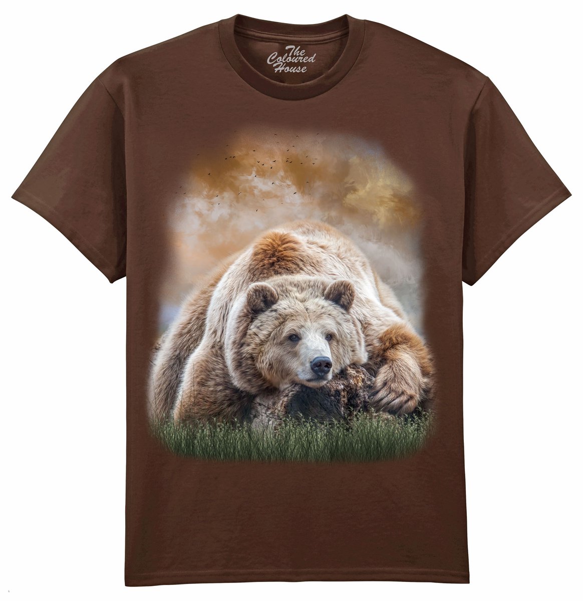 Beer Bearly Awake The Coloured House T-shirt M