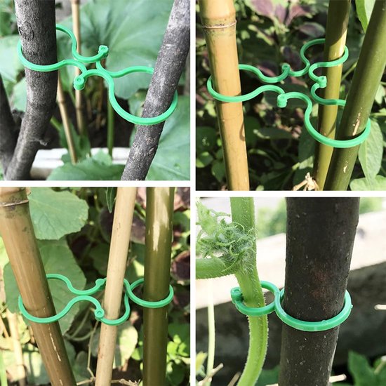 Pflantenclips - 100 stuks steunclips voor planten in groen — afbeelding 5