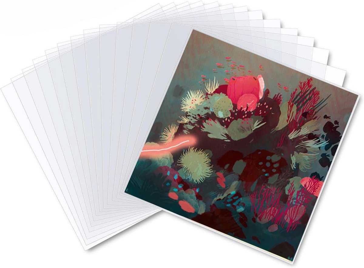 SnelShoppen - 50 Pcs 10 Inch Vinyl Record Covers - PP Transparante Buitenhoezen - Bescherming tegen Stof, Krassen en Vocht - Perfect voor Vinyl Collec