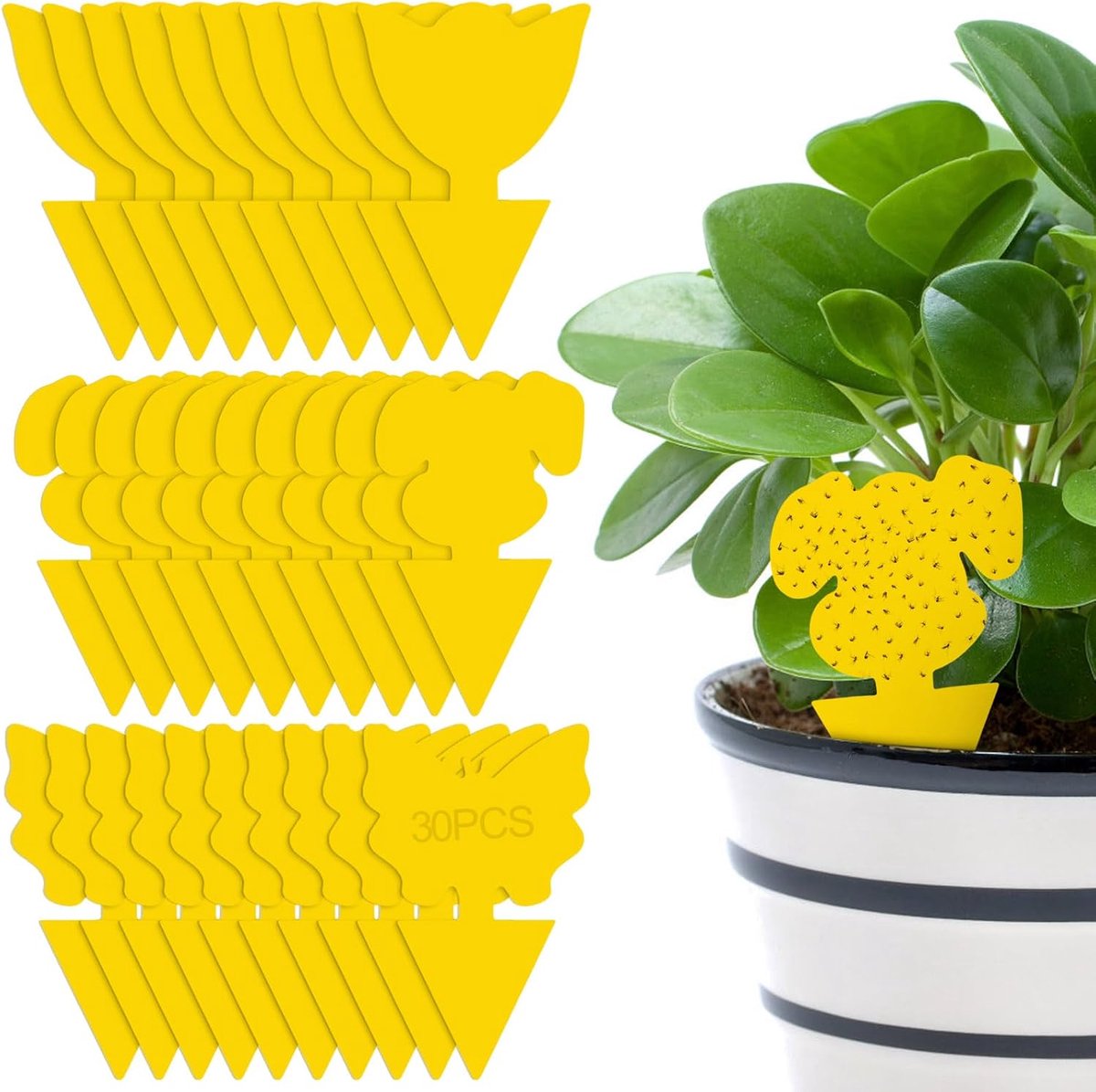 SnelShoppen - Gele Zelfklevende Muggenstickers - 30 Stuks Effectieve Vliegenvallen voor Fruitvliegen - Waterdichte Insectenvallen voor Binnenplanten