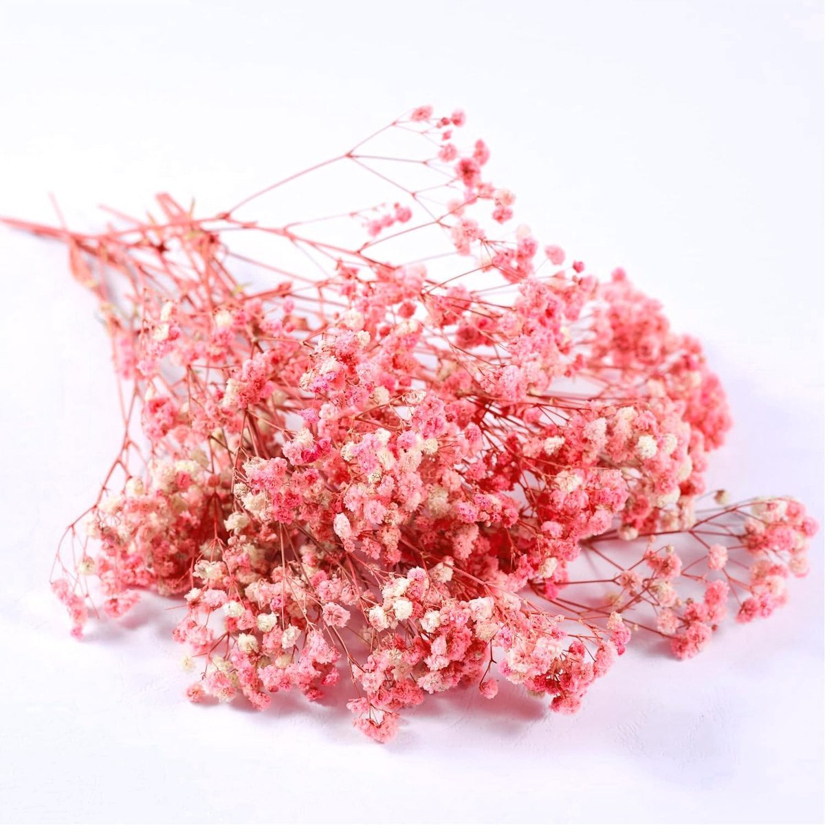 SnelShoppen - Dried Flowers Gypsophila - 5 Stelen Gedroogde Bloemen - Natuurlijke Decoratie voor Thuis, Scrapbooking, Cadeau-idee, Handgemaakte Geurka