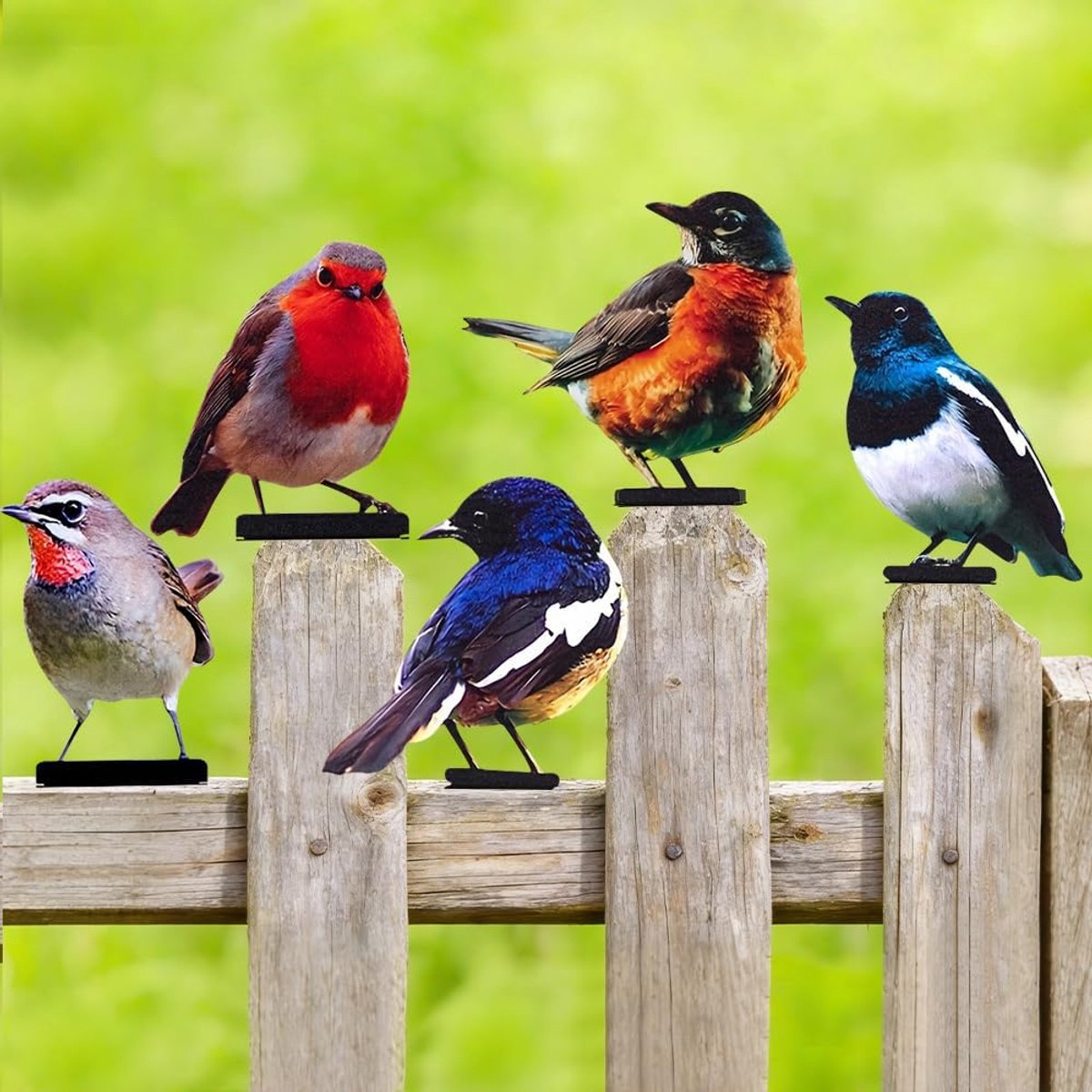 SnelShoppen - 5 Stuks Tuin Decoratie - Geverfde Vogels - Kleurrijke 2D Tuin Kunst - Vogel Tuinstekers - Decoratieve Figuren van Hout voor Tuin en Heck