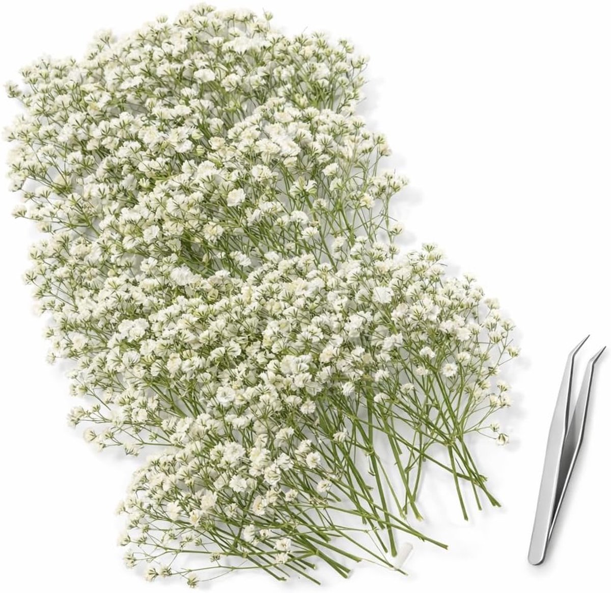 SnelShoppen - 130 Gedroogde en Geperste Gypsophila Bloemen met Pincet, Natuurlijke Witte Bloemen voor Resin Art, DIY Kaarten, Bruiloft Decoratie en Ta