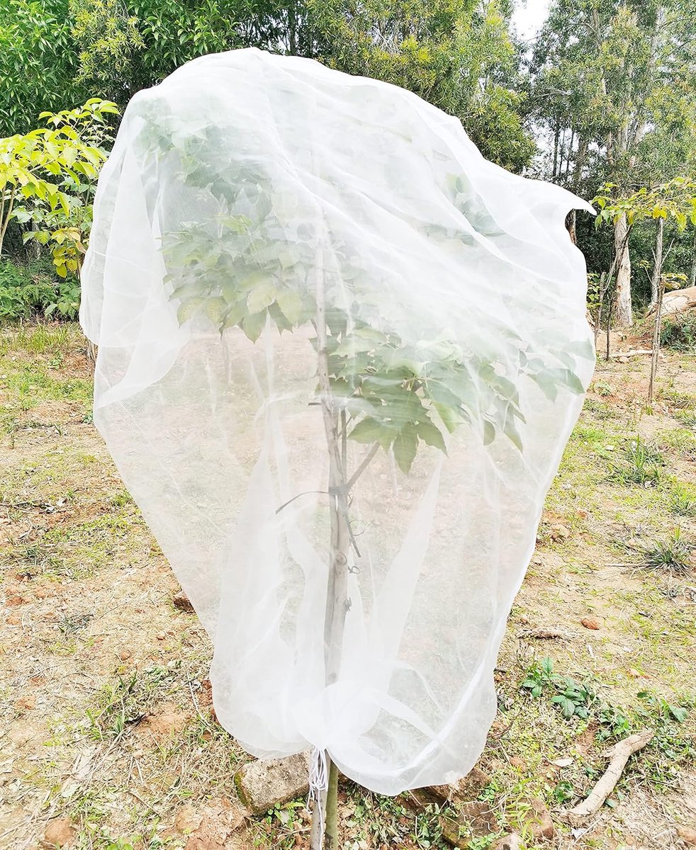 SnelShoppen - Insectenbeschermnet voor Fruitbomen 180 x 180 cm, Tuin Beschermnet met Rits en Trekkoord, Vogel- en Insectenbescherming voor Planten