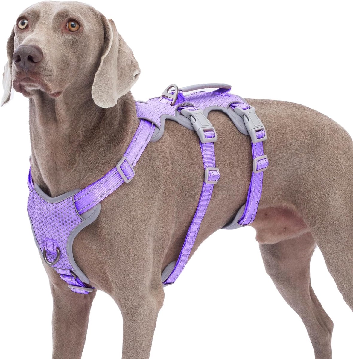 SnelShoppen - Escape Proof Hondentuig - Reflecterend, Ademend, Verstelbaar Vest voor Middelgrote Honden - Lavendel Paars, Maat L - Perfect voor Wandel