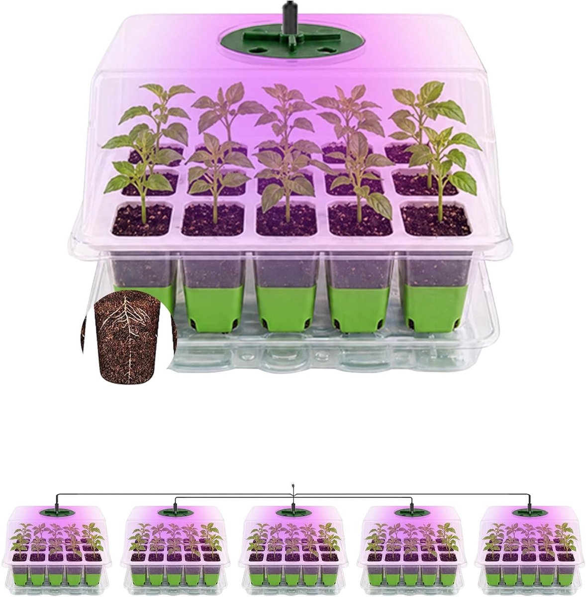 Set van 5 flexibele kweekschalen voor zaailingen met verlichting en timer, ideaal voor broeikas en zaadbakken, instelbare luchtvochtigheid