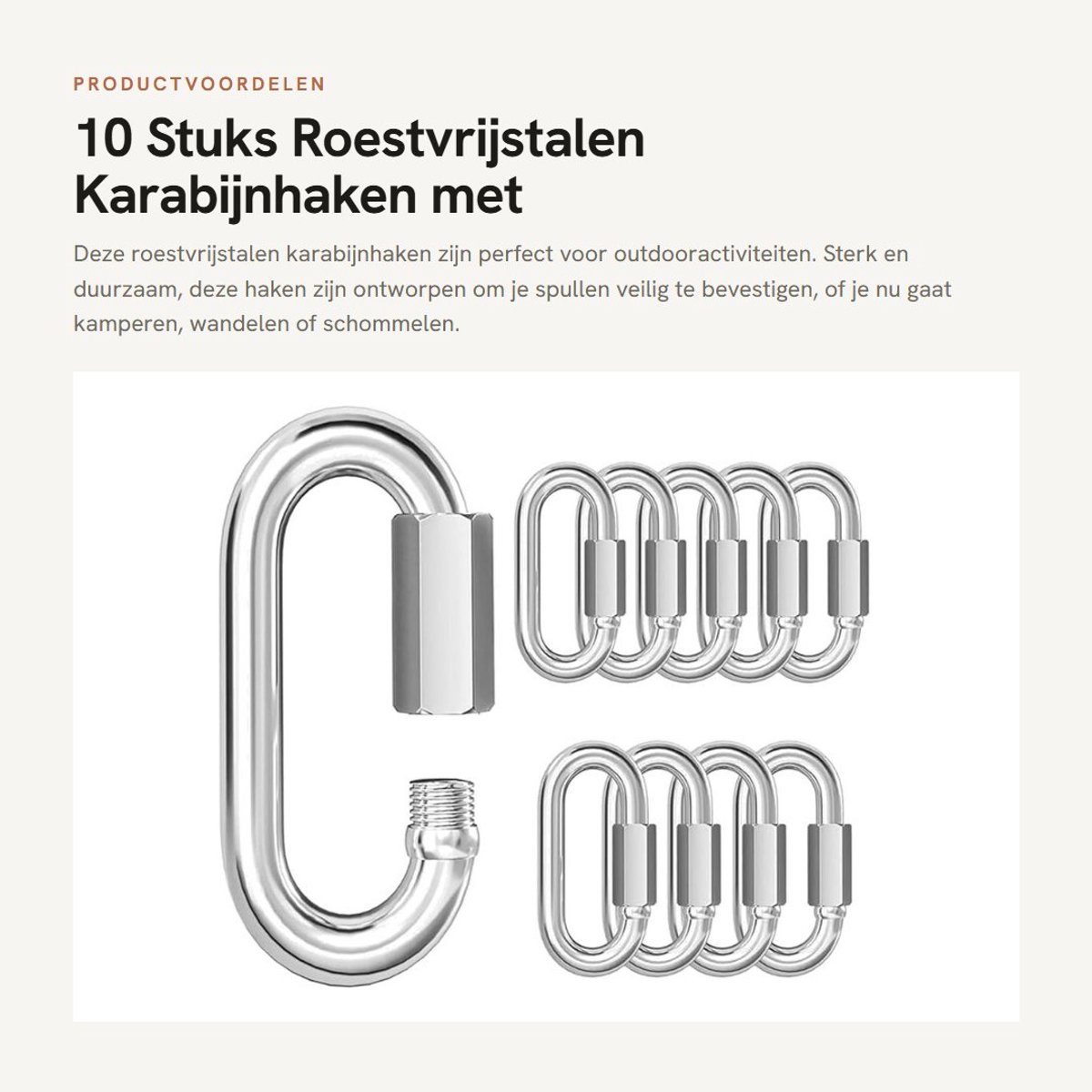 Dailygoods- Karabijnhaak 10 Stuks - Roestvrij Stalen Karabijnhaak - Snelsluiting - D-vormige Karabijnhaak - 80 kg Draagvermogen - Waterdicht en Corrosiebestendig - Haak