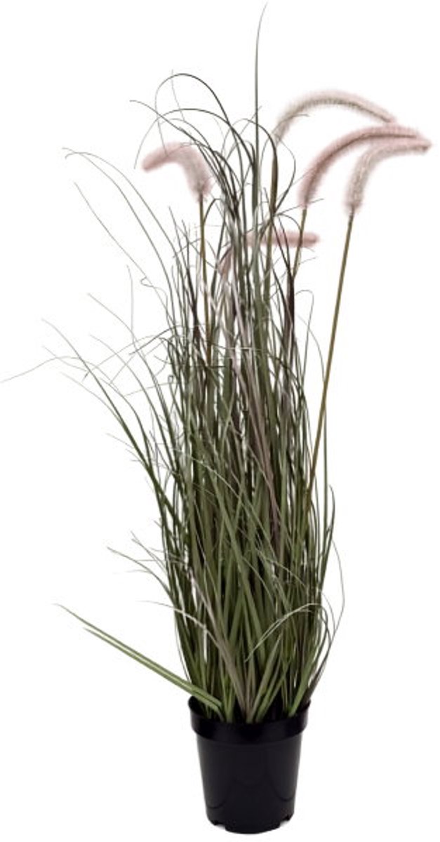 Oosterik Home Pluimgras wit H 78 cm kunstplant Oosterik Home onbekend