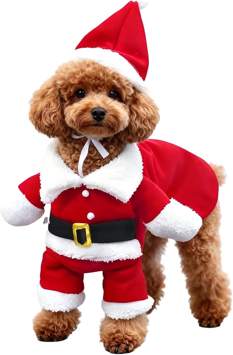 Kerstkostuum voor Huisdieren met Santa Claus Outfit en Hoed, Gezellige Kerstmode voor Honden en Katten, Feestelijke Kleding voor de Winter en Nieuwjaar