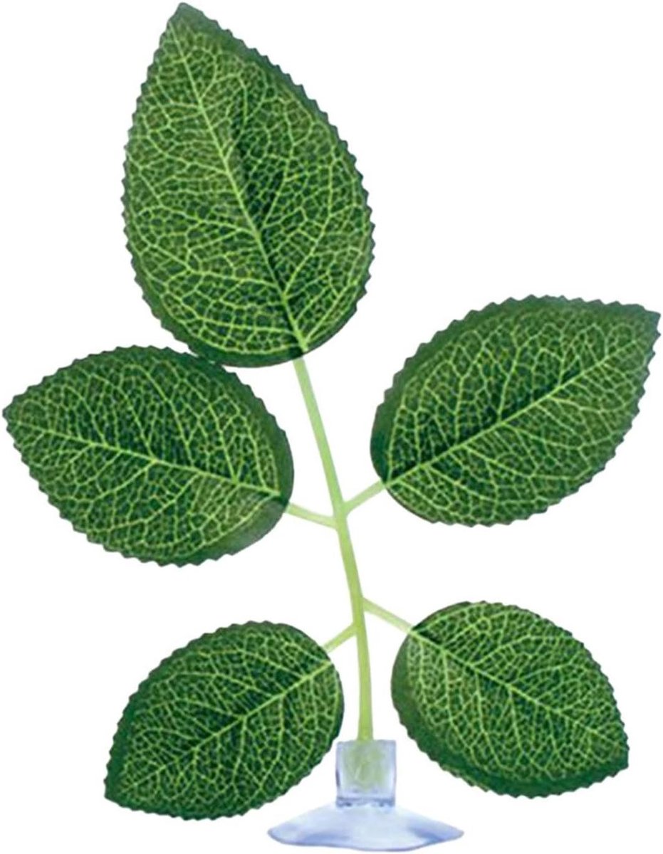 Aquarium Blad Hangmat - Vis Hangmat Aquarium - Aquarium Decoratie - Zuignap Bevestiging - 15 cm - Groen