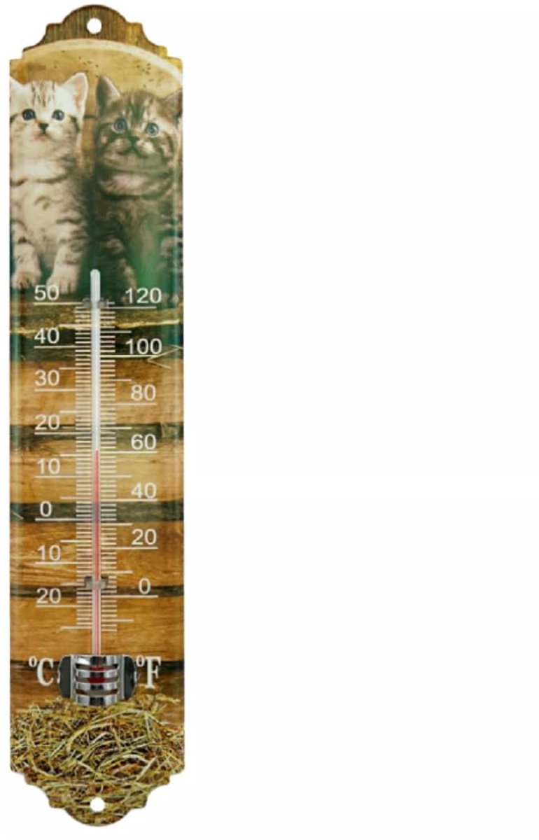 Kamerthermometer Metaal - Binnen- en buitenthermometer - Temperatuur Meten - Analoge Weergave - 295 x 65 cm - Hond