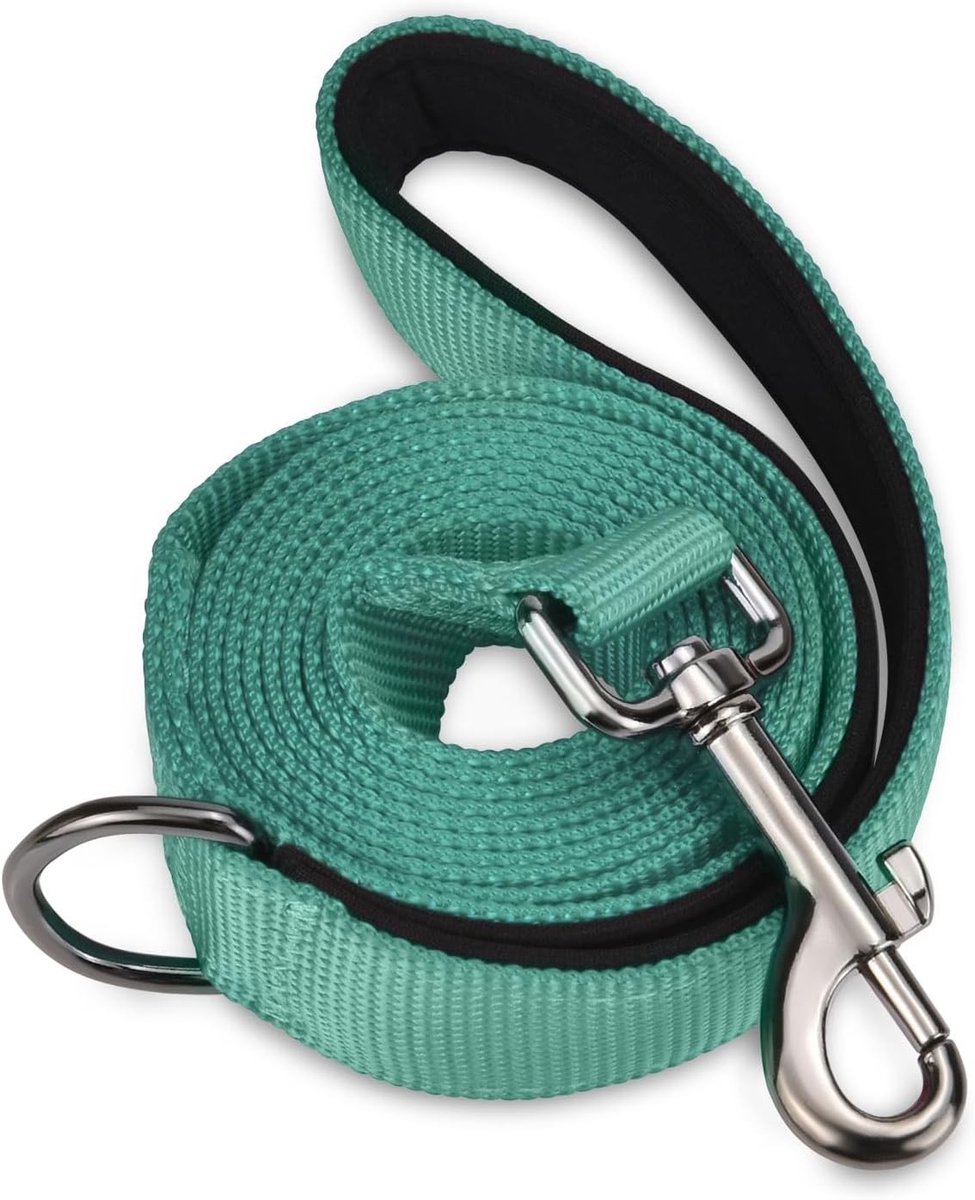 Hondenriem - Wandelriem - Honden uitlaten - Gevoerd handvat - 150 cm - Smaragd