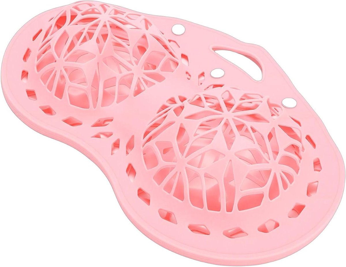 Bh Waszak - Ondergoed Organizer - Fijne Was Beschermen - Anti-vervorming Ontwerp - 24.7L x 22W cm - Roze