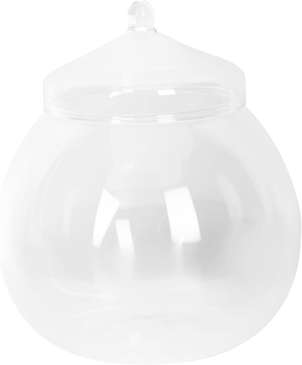 Glazen Terrarium - Decoratieve Pot - Micro Landschap - Met Deksel - 18 x 15 cm - Transparant