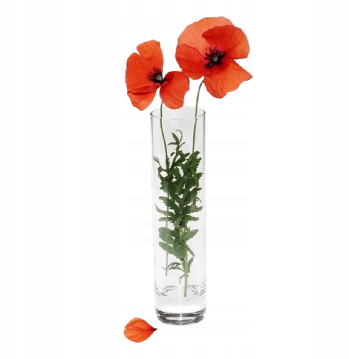 Merkloos Glazen Vaas Hoge Cilinder voor Bloemen, Kaarsen & Decoratie 26cm