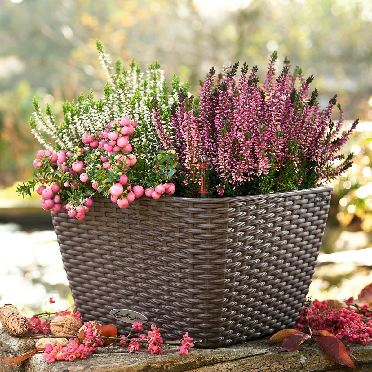 Lechuza Bacino Cottage - Jardinière - pot intérieur amovible