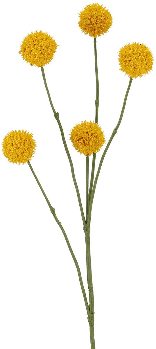 Gasper Trommelstok-Craspedia geel Ø 3.5 cm 71 cm