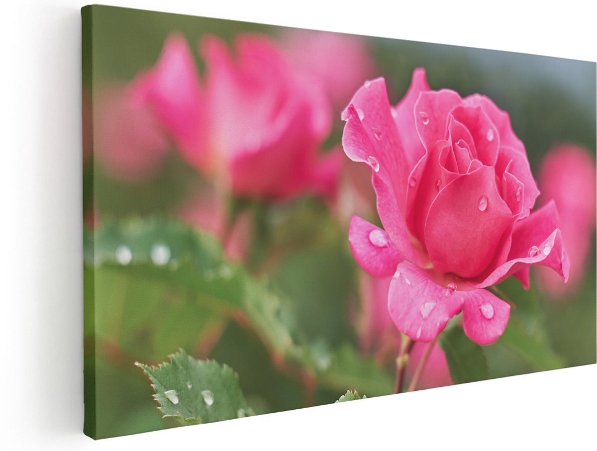 Artaza Canvas Schilderij Roze Roos Met Waterdruppels - 180x90 cm - Groot - Wanddecoratie Woonkamer - Schilderijen - Muurdecoratie