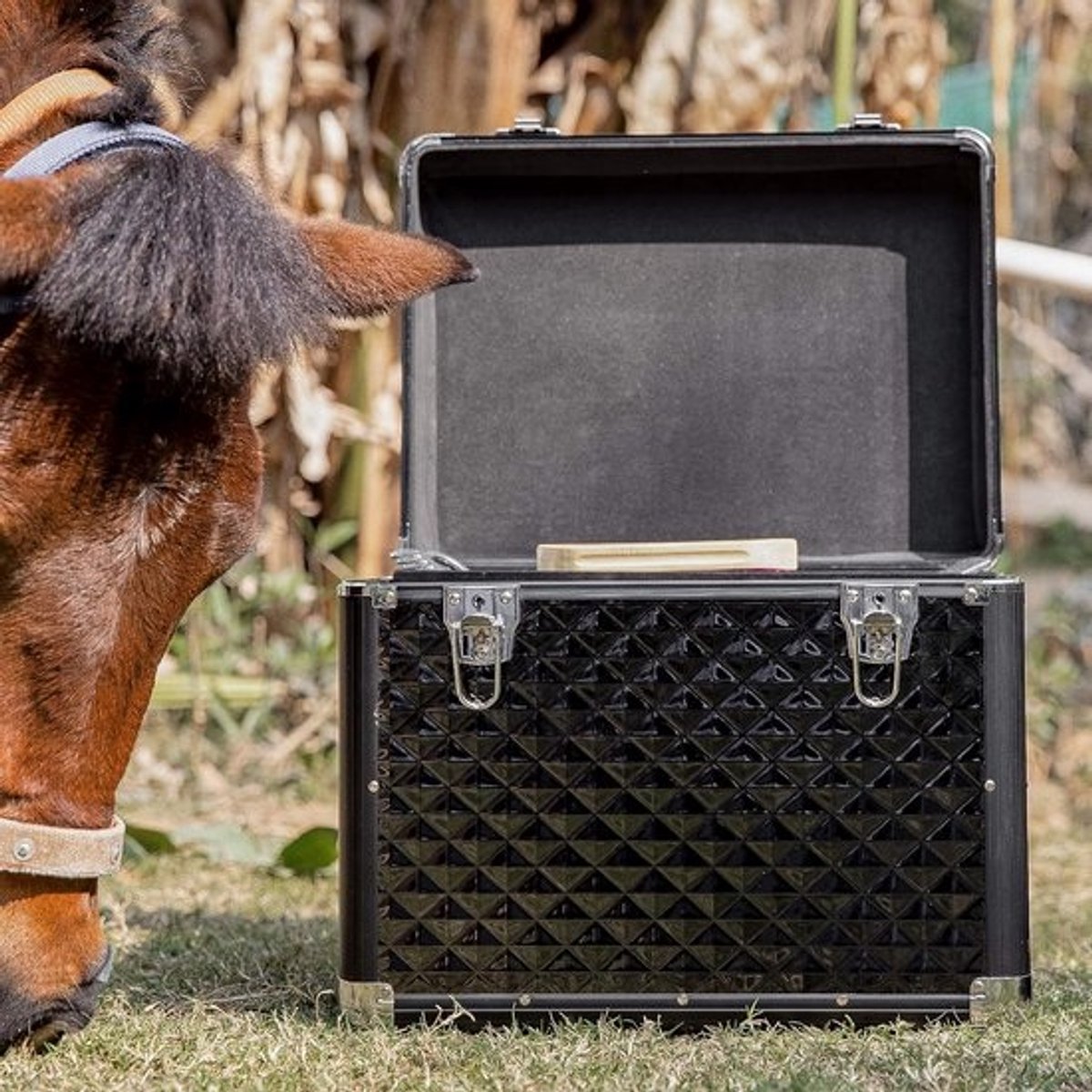 Lichtgewicht aluminium poetskist voor paard en pony - Afsluitbaar met sleutels