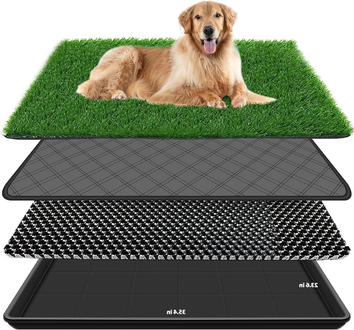 Hondenplasbak - Honden wc - Zindelijkheid training - 4-laags systeem - 60 x 90 cm - Groen