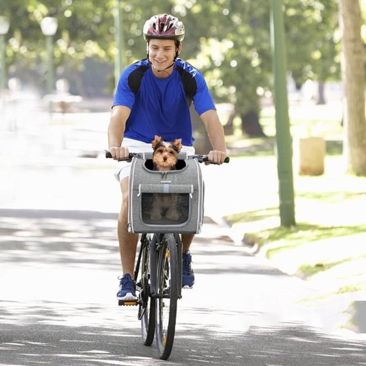 Fietsmand Hond Achter - Hondenfietsmand Bagagedrager - Honden en Katten - Huisdiervervoer