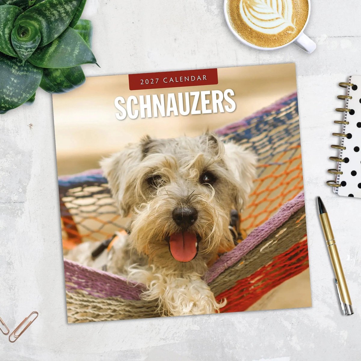 Schnauzer Kalender 2027