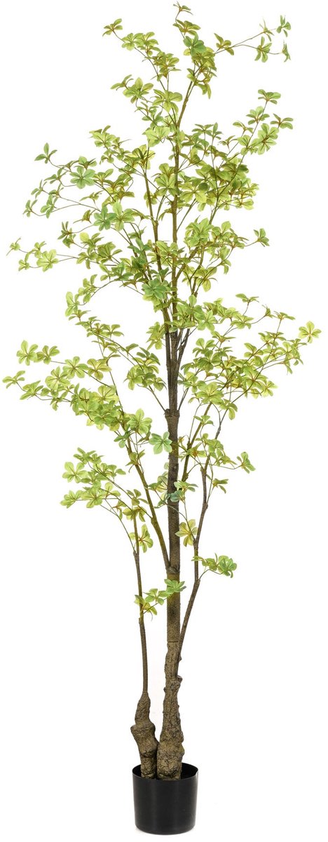 Emerald Kunstboom Tropaeolum 210cm - Kunstplant voor binnen - Tropaeolum plant - Oost Indische kers Groen