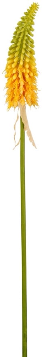 Emerald - Kunstbloem Kniphofia 80cm geel - Kunstplant voor binnen