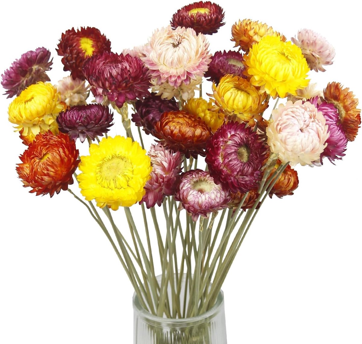 Dried straw chrysanthemums voor unieke decoratie, boeketten en ambachtelijke projecten