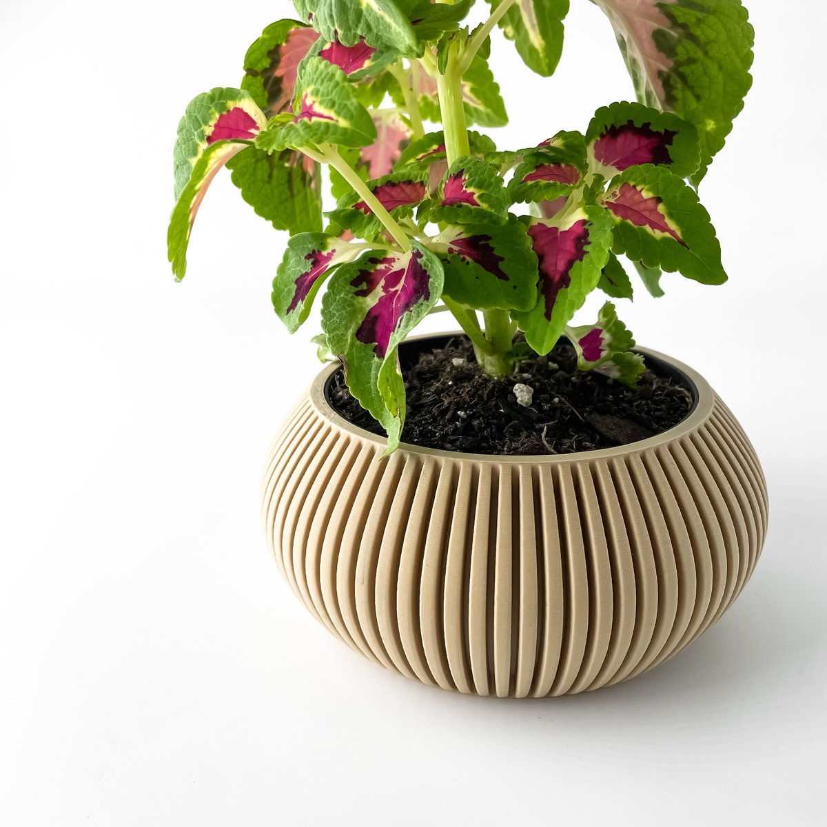 Skushy W23 Bloempot - Moderne Designpot voor Kamerplanten - Sculpturale Plantenpot voor Woonkamer en Kantoor - Premium Woondecoratie
