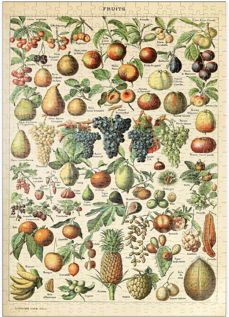 SnelShoppen - MyPuzzle Fructus - Puzzel 500 Stukken - Vintage Kunst Poster Adolphe Millot - Premium Kleurdruk - FSC-gecertificeerd Papier met Linnen E