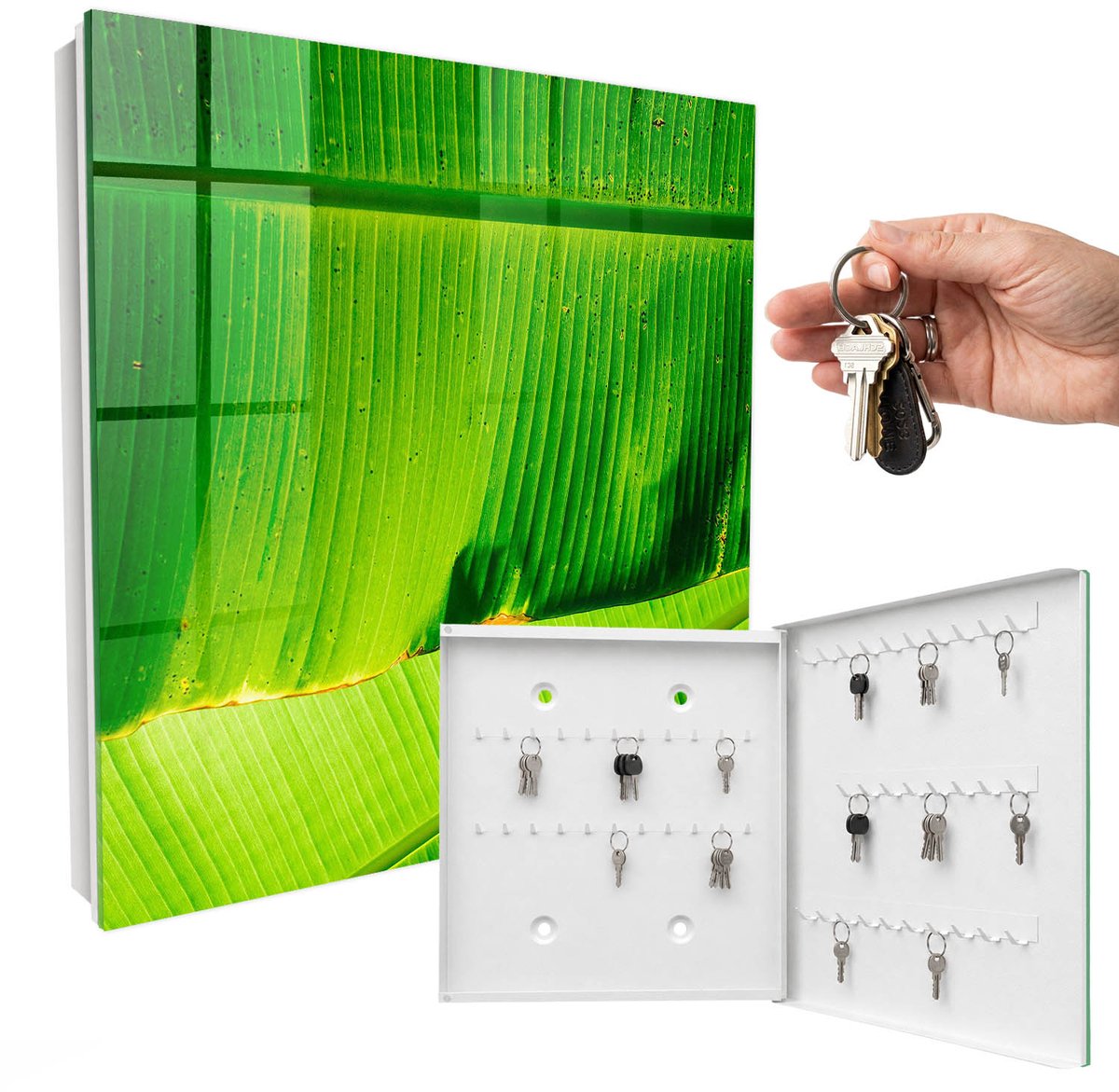 WallMuralia - Sleutelkast - 30x30x5 cm - met 50 haken - Bladgloed Sleutelkastje Binnen - Groente Sleutelbox - Rechtsopenend - Wit interieur