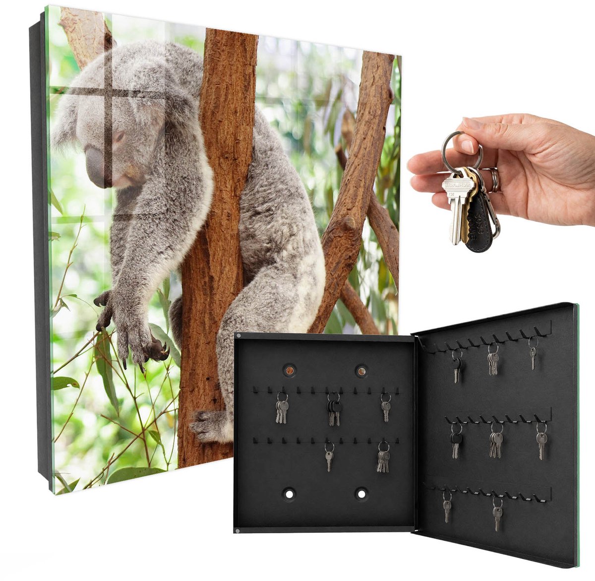 WallMuralia - Sleutelkast - 30x30x5 cm - met 50 haken - Koala Ontspanning Sleutelkastje Voor Binnen - Grijs Sleutelbox - Rechtsopenend - Zwart interieur