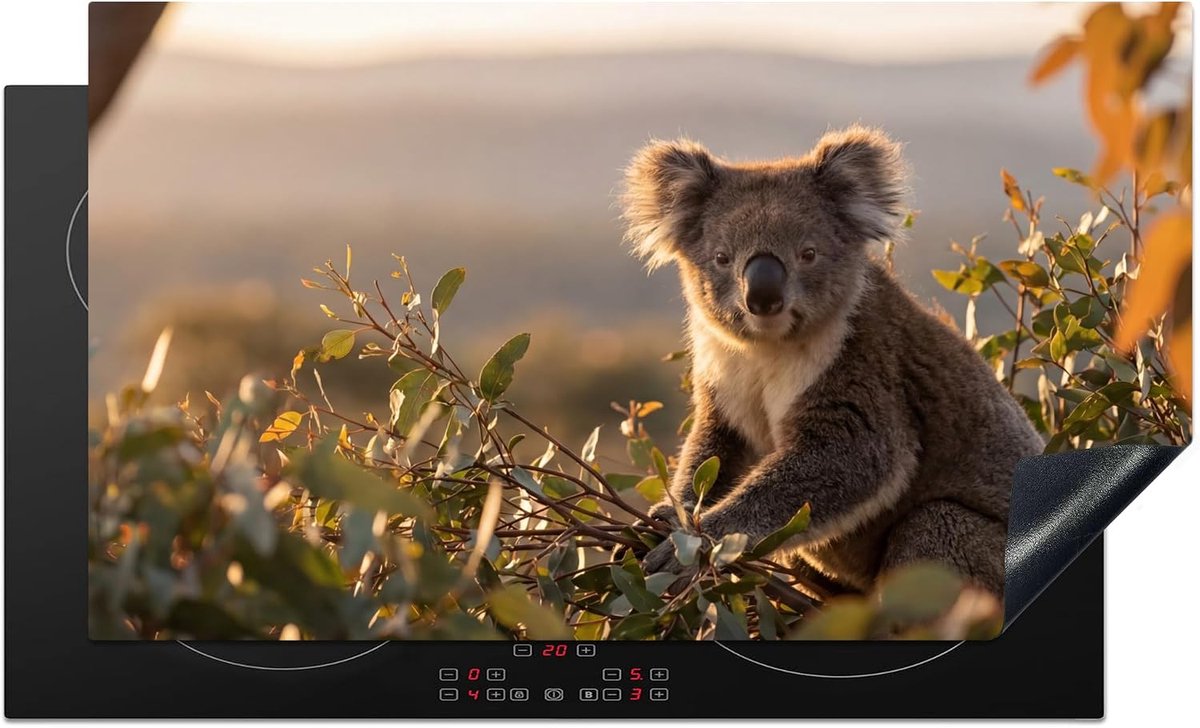 SnelShoppen - Inductie Dekplaat 90x52cm Keuken Bescherming Kookplaat Anti Slip Mat - Koala - Bladeren - Ochtendlicht