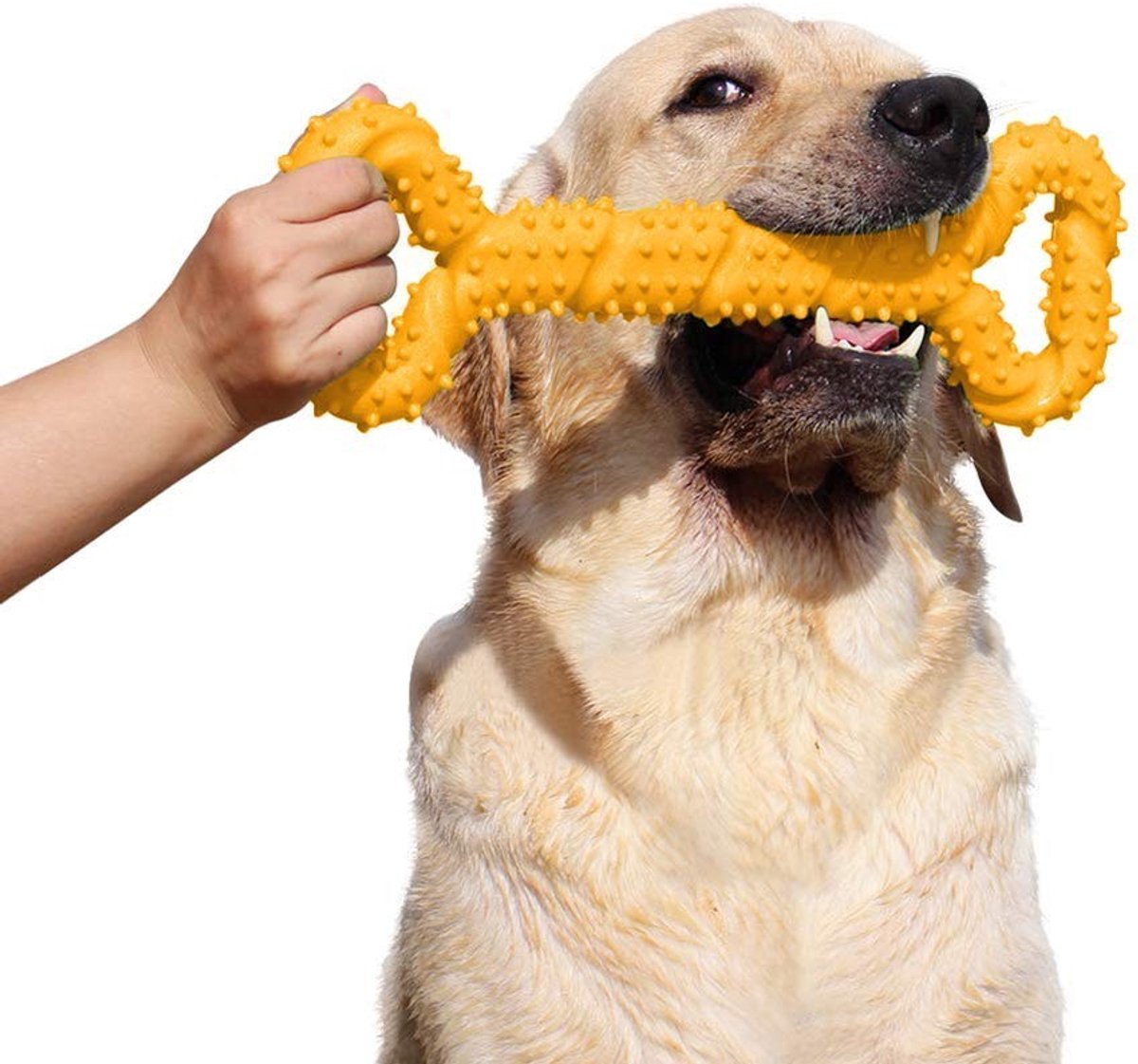 Omgoods - Duurzaam Kauwspeelgoed voor Honden - Botvormige Kauwstaaf