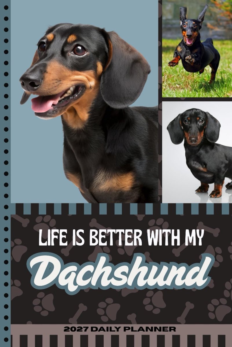 SnelShoppen - 2027 Dagelijks Planner - Dagelijkse Organizer Met Uurindeling / Takenlijst / Notities / 6x9 Formaat / Dato's / Dachshund Hond Kunst Cove