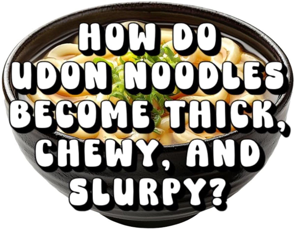 Do Udon Noodles Become Thick, Chewy, and Slurpy?
