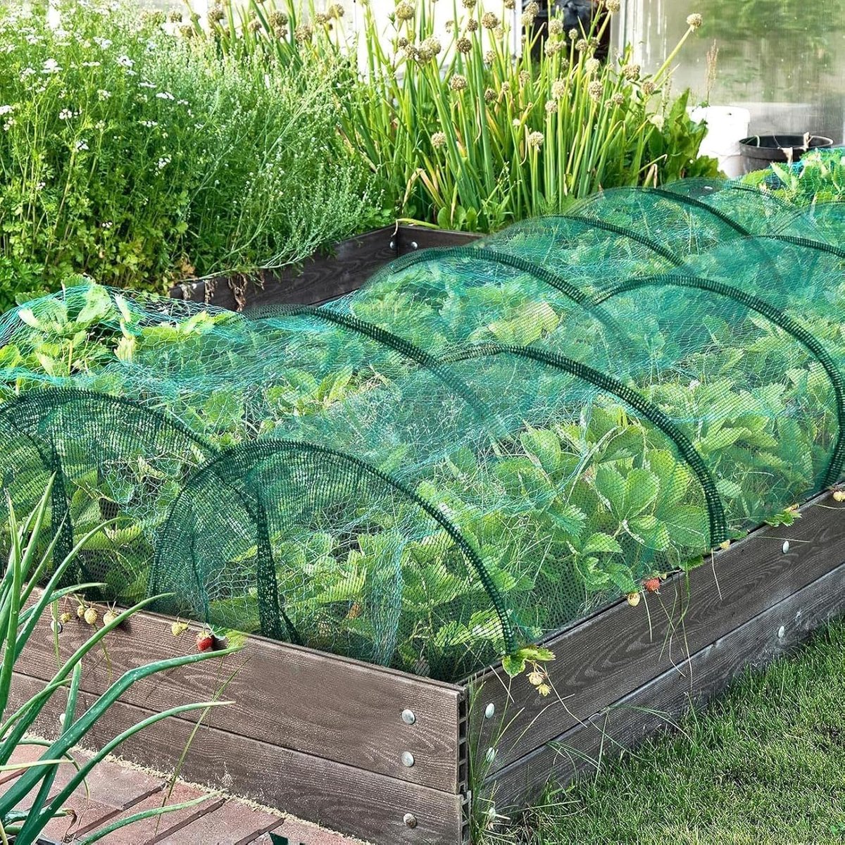 Tuinnet Set - Planten Tunnel - Bescherming Groenten - Ademend Netmateriaal - 6 Ringen - Groen