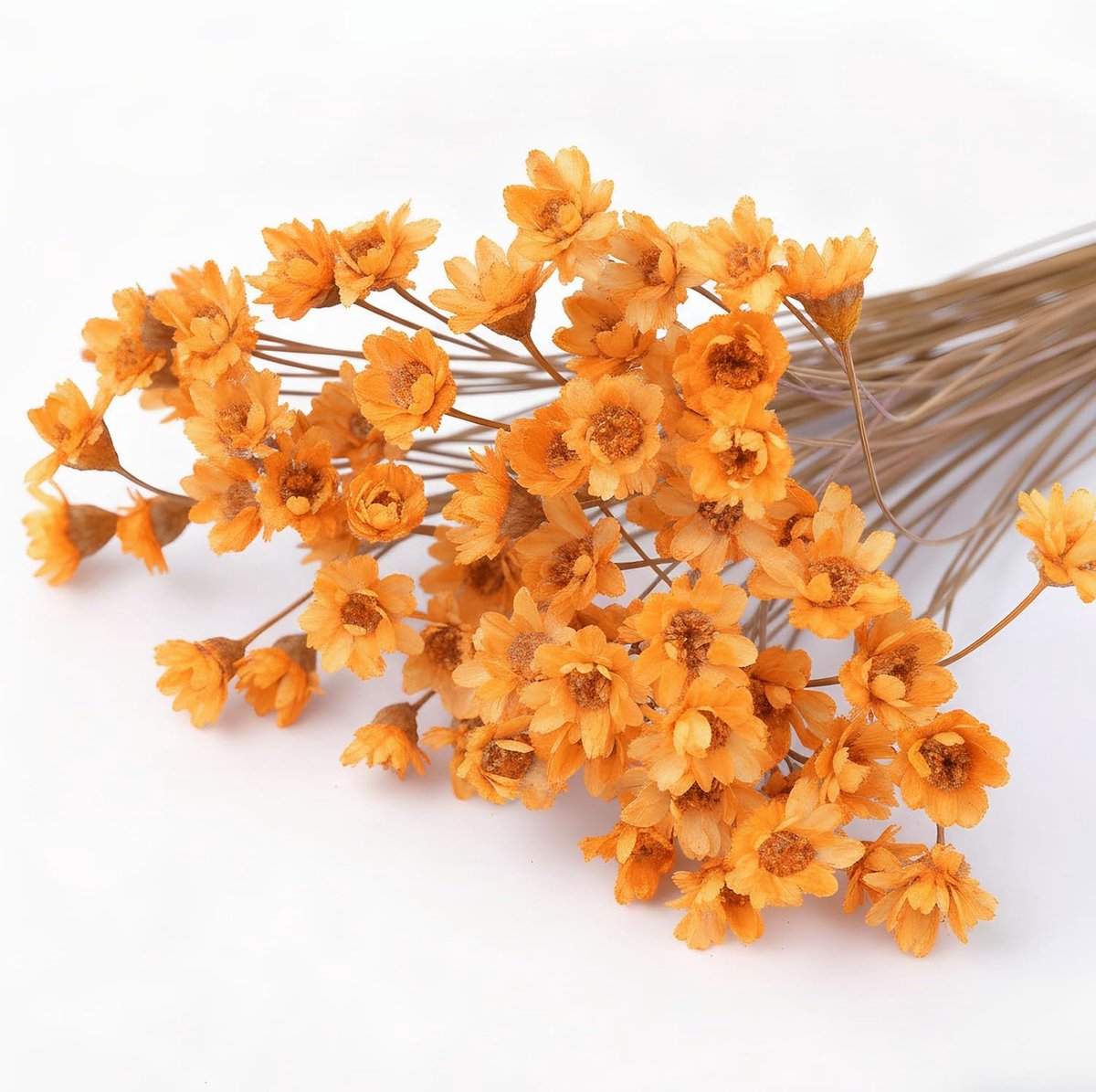 100 Takjes Kleine Sterbloemen, Gele Braziliaanse Sterbloemen voor DIY Kunsthars, Scrapbooking, Sieradenmaken en Bloemdecoratie