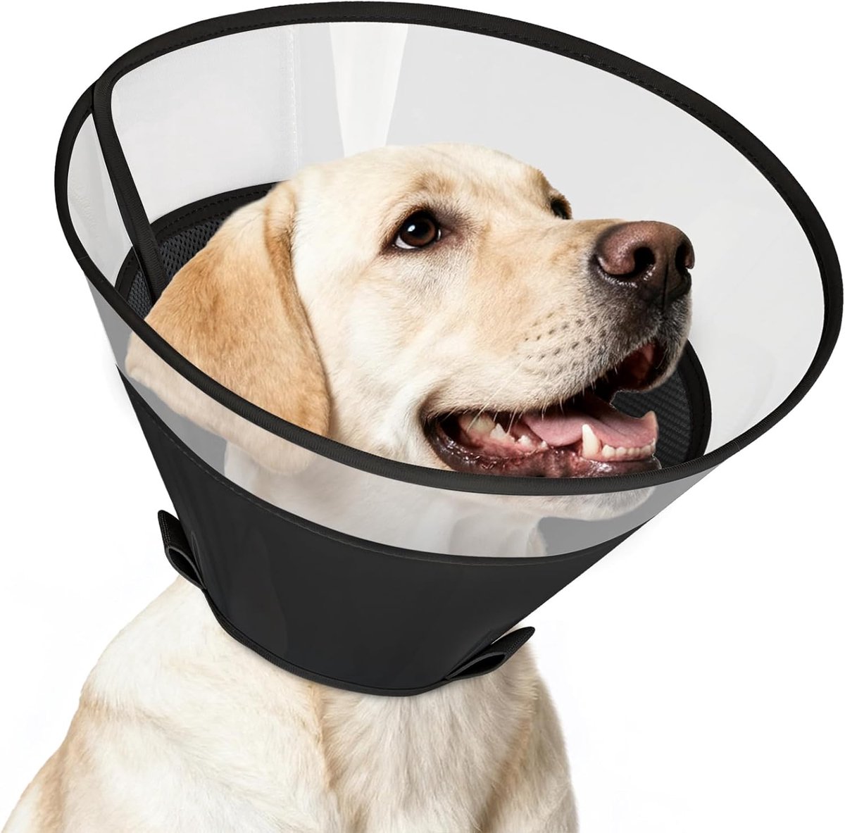 Klauwen voor honden (Deep Black-S)