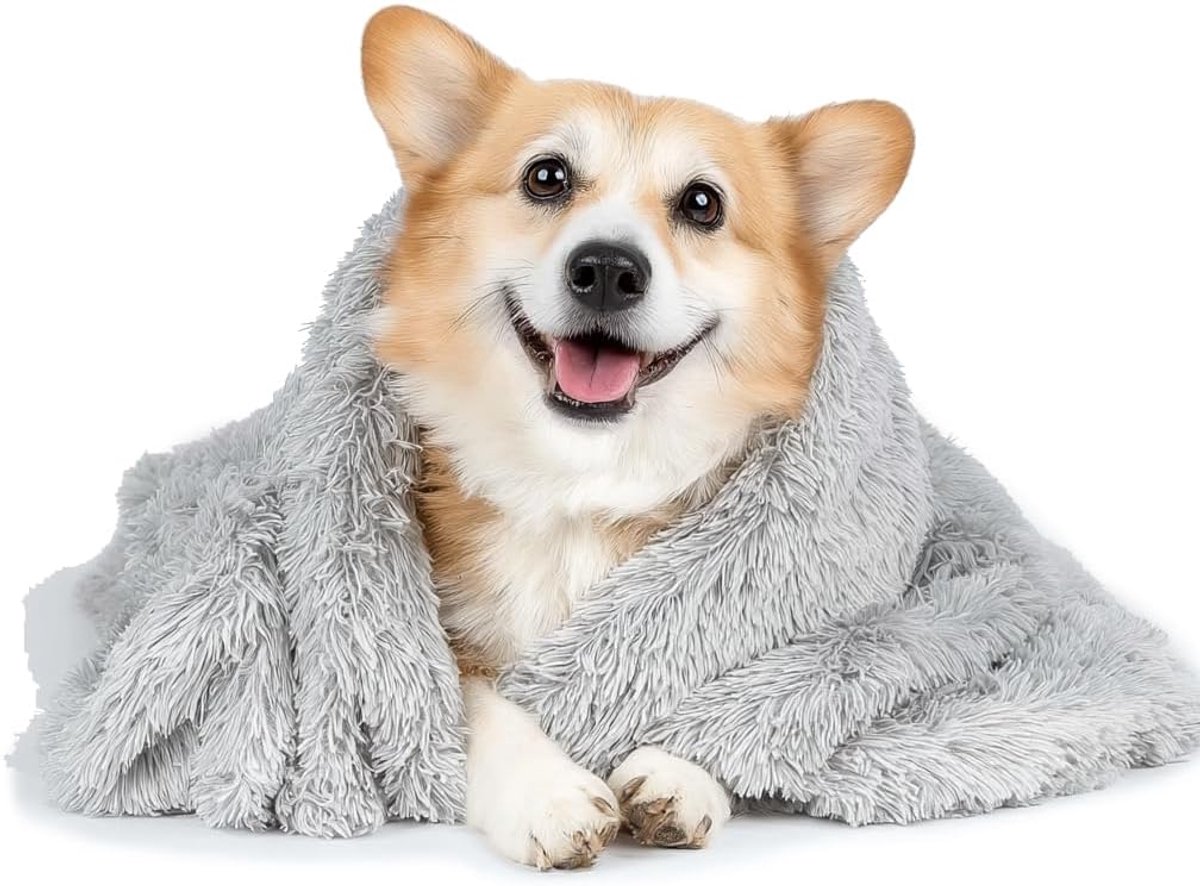 Honden- en Kattendekens, Zachte Pluche Hondendekens, Kattenmand, Warm en Zacht, Wasbare Bankhoes, Huisdierendeken (Grijs 56×36 cm)