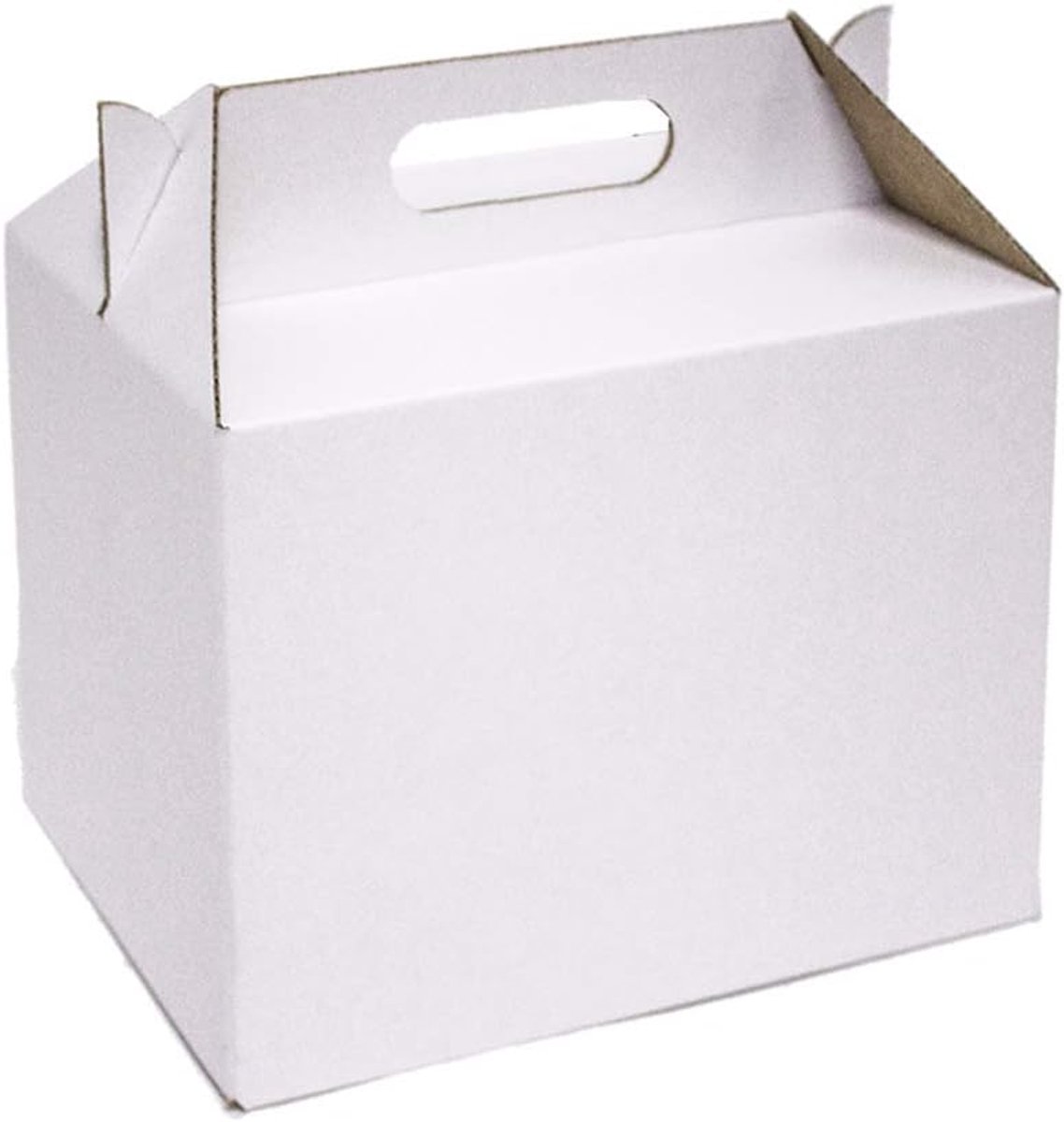 Picknickbox Kraftkarton - Feestdozen Opslag - Maaltijden Presenteren - Zeer Sterk Ontwerp - 10 Stuks 24cm - Wit