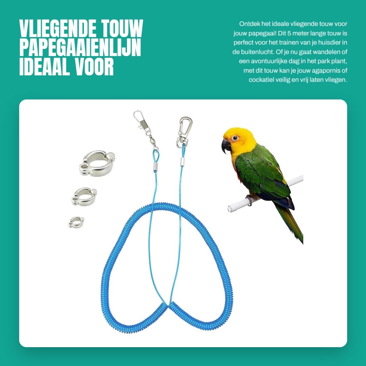 Dailygoods- Vliegende Touw 5 m - Papegaaienlijn - Outdoor Vluchttrainingslijn - Bijtbestendig - Lichtgewicht - Kunststof - Vogeltraining