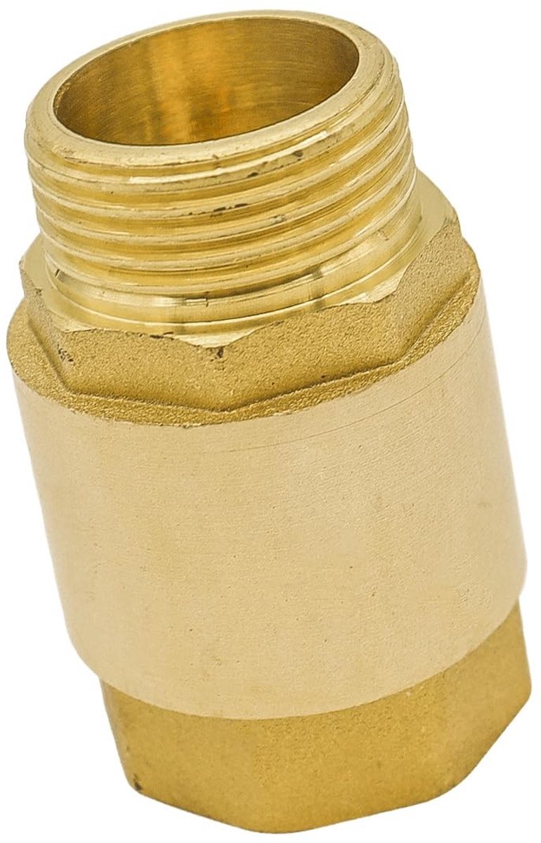 Dailygoods- Terugslagklep Veerbelast - Messing - G1" Binnen- en Buitendraad - Onderhoudsvrij - Drukklasse 16 bar - Temperatuurbereik -10°C tot 120°C - Klep