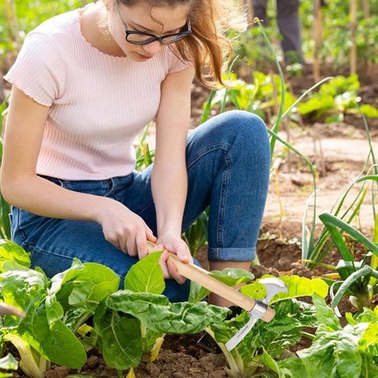 Pikhouweel - Kleine hak - Tuinonderhoud - Dubbele kop - 41 cm - Metaal — afbeelding 2