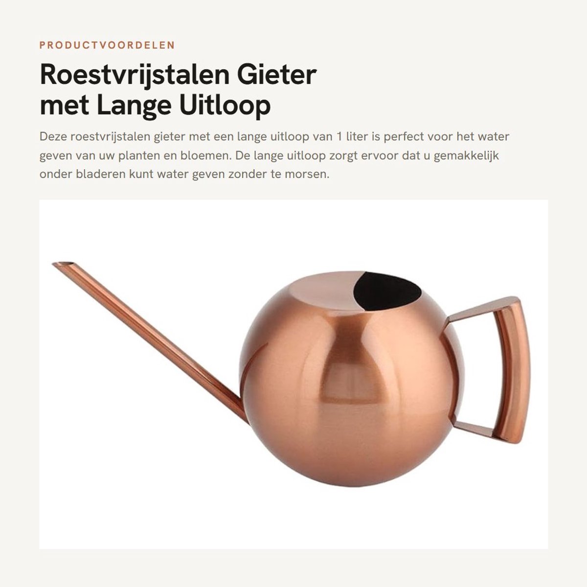Dailygoods- Gieter 1L Grote Capaciteit - Lange Uitloop - Roestvrij Staal - Ergonomische Handgreep - Geschikt voor Tuinplanten - Voorkomt Spatwater - Plantenbewateringskan