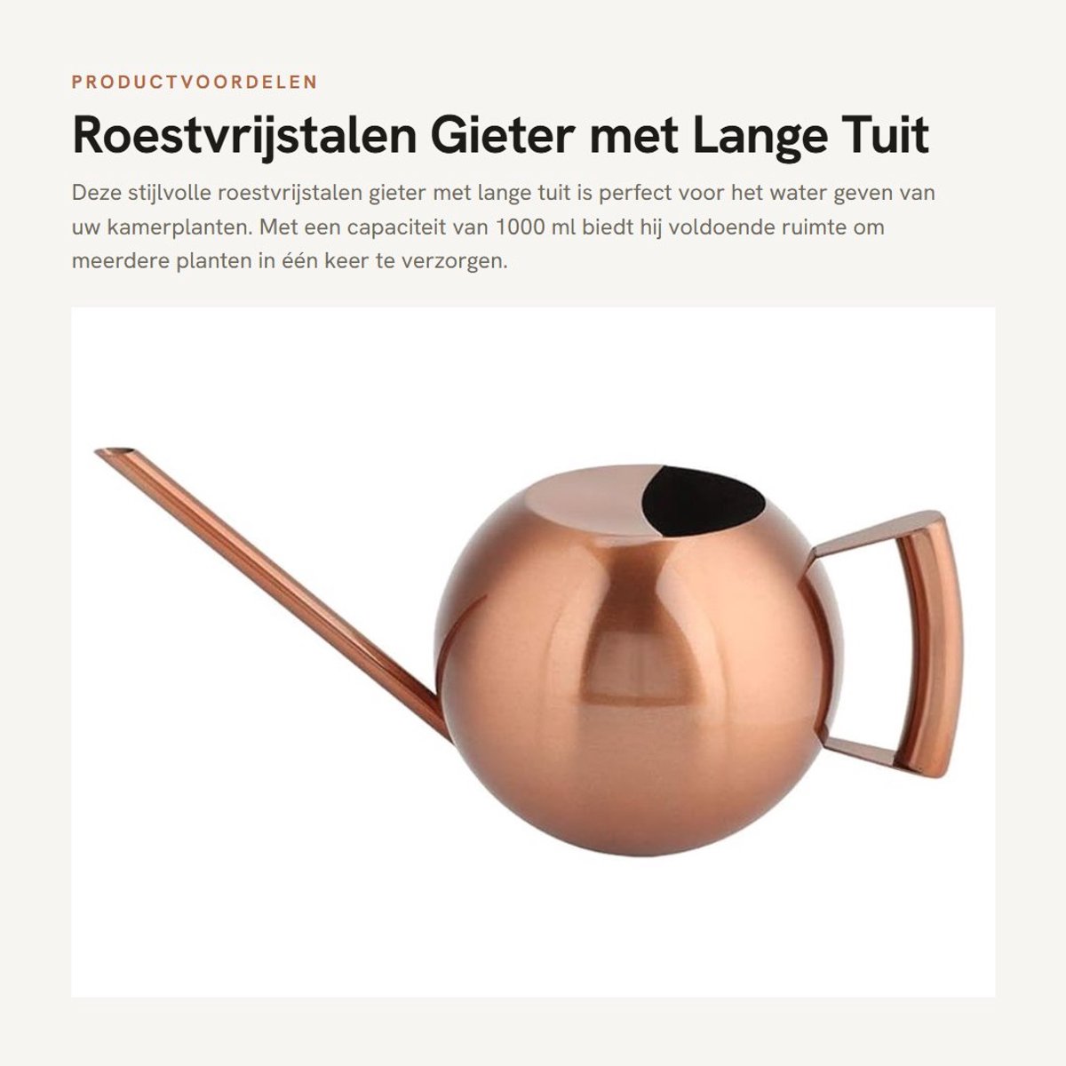 Dailygoods- Gieter 1000 ml - Roestvrijstalen - Lange tuit - Ergonomische handgreep - Voor binnen - Voor kamerplanten - Plantenbewateringskan