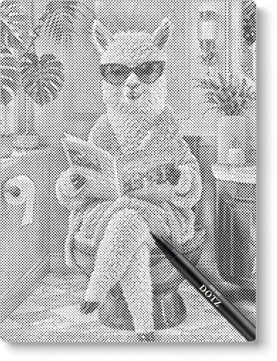 Alpaca op het toilet | Dot painting | 50x60cm  Meest gekozen | Dot painting | Oh My Dotz | Dots stippen | Diamond painting & Schilderen op nummer alternatief | Happy hobby